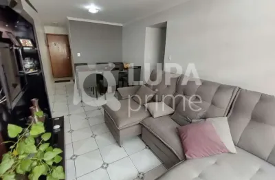 Apartamento com 3 dormitórios e 2 vagas à venda - jaçanã