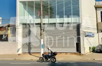 Barracão / Galpão / Depósito para alugar na Avenida Engenheiro Caetano Álvares, 4256, Imirim, São Paulo