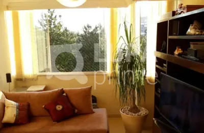 Apartamento com 3 dormitórios sendo 1 suíte á venda no barro branco