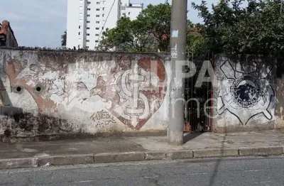 Terreno à venda na Rua Capitão Francisco Lipi, 1076, Parada Inglesa, São Paulo