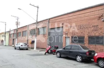 Barracão / Galpão / Depósito para alugar na Rua Lopes da Costa, 352, Jaçanã, São Paulo