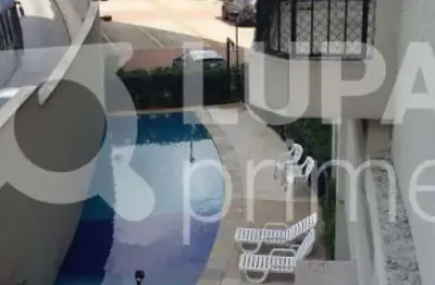 Apartamento com 2 dormitórios à venda no parque mandaqui!