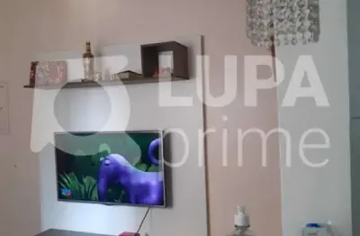 Apartamento com 2 dormitórios para locação , santana, são paulo