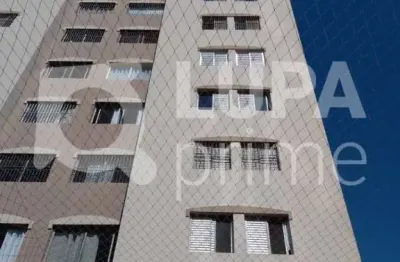 Apartamento com 2 dormitórios á venda no jardim paraíso