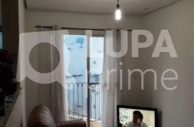 Apartamento com 2 dormitórios á venda- vila albertina