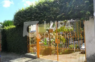 Terreno à venda na Rua Jamunda, 104, Vila Mazzei, São Paulo