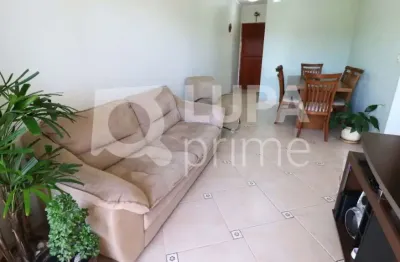 Apartamento com 2 quartos à venda na Rua Cauré, 297, Vila Mazzei, São Paulo