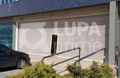 Prédio para alugar na Avenida Nova Cantareira, 2511, Tucuruvi, São Paulo