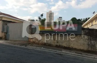 Terreno à venda na Rua Rosa Maria, 287, Vila Gustavo, São Paulo