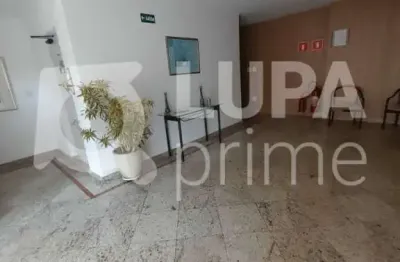 Apartamento com 3 dormitórios sendo 1 suíte para locação em santana