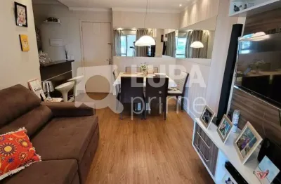 Apartamento com 3 dormitórios sendo 1 suíte á venda no parque novo mundo
