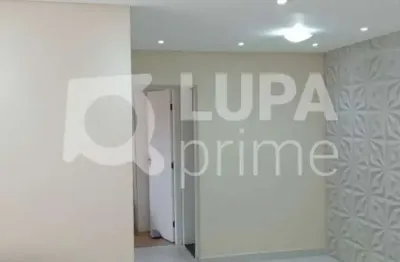 Apartamento 3 dormitórios 80 m2 1 vaga, vila bueno aires