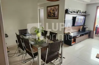 Apartamento com 2 dormitórios à venda na vila nova cachoeirinha