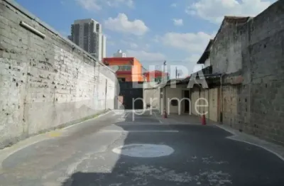 Terreno comercial para alugar na Avenida Gustavo Adolfo, 831, Vila Gustavo, São Paulo