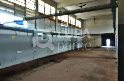 Barracão / Galpão / Depósito para alugar na Rua Basílio Alves Morango, 1745, Jardim Brasil, São Paulo