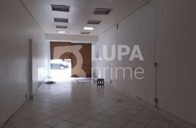 Ponto comercial para alugar na Rua José de Albuquerque Medeiros, 202, Água Fria, São Paulo