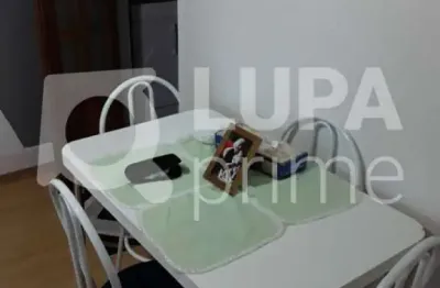 Apartamento com 2 dormitórios de 53m² à venda, na vila amélia