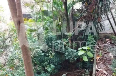 Terreno à venda na Avenida Nova Cantareira, 1254, Tucuruvi, São Paulo