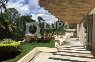 Apartamento com 3 dormitórios sendo 1 suíte para locação na vila albertina.
