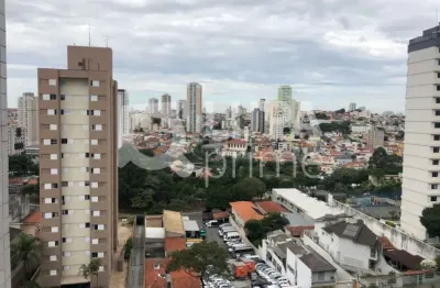 Apartamento com 3 dormitórios sendo 1 suíte à venda na vila paulicéia!