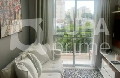Apartamento com 2 dormitórios de 50m² à venda, na vila roque