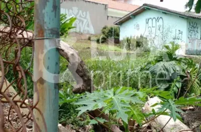 Terreno de 1.600 metros de área construída à venda no tremembé.
