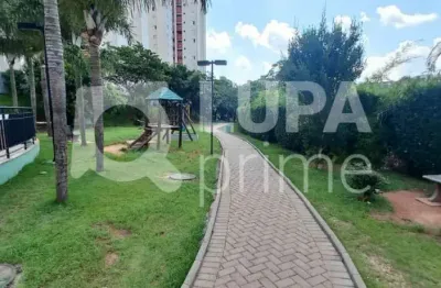 Apartamento com 2 dormitórios á venda vila bela vista são paulo
