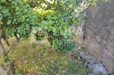 Casa térrea com 3 quartos e 3 vagas de garagem á venda na vila maria alta