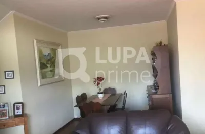 Apartamento com 3 dormitórios sendo 1 suíte á venda em santa teresinha!