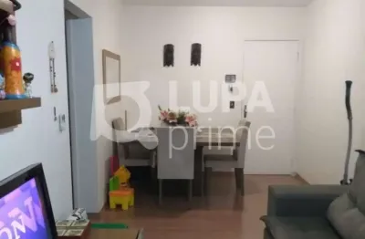 Apartamento com 2 dormitórios para locação na freguesia do ó!