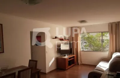 Apartamento com 2 quartos à venda na Rua Antônio Domingues Freitas, 115, Vila Amélia, São Paulo