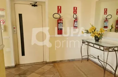 Apartamento com 3 dormitórios sendo 1 suíte á venda no parque mandaqui.