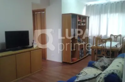 Apartamento- vila paulicéia-2 dormitórios, 1 sala,2 banheiros,1 vaga-  66m²