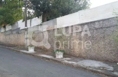Terreno à venda na Rua Andréa Del Sarto, 233, Jardim Floresta, São Paulo
