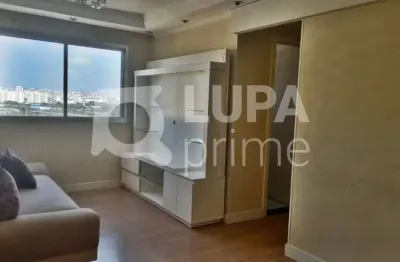 Apartamento com 2 quartos para venda, jardim andarai, são paulo