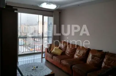 Apartamento com 3 quartos e 1 vaga de garagem à venda na vila guilherme