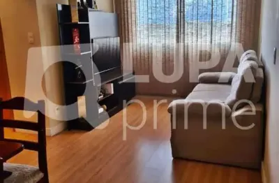 Apartamento com 2 quartos e 1 vaga à venda no jardim andaraí