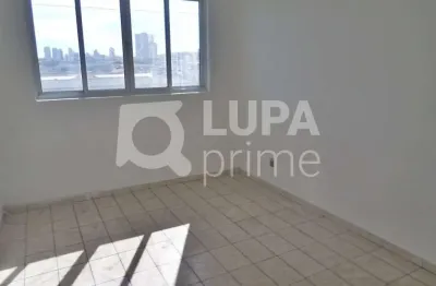 Apartamento com 1 quarto para locação, vila maria baixa, são paulo
