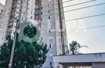 Apartamento com 3 quartos sendo 1 suíte e 1 vaga  para venda, vila guilherme, são paulo