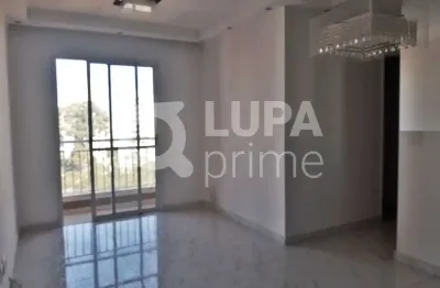 Apartamento com 3 quartos para locação, vila maria alta, são paulo