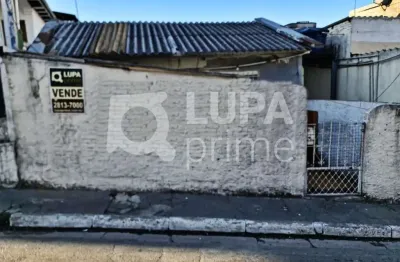 Terreno residencial com 252m² para venda, vila guilherme, são paulo