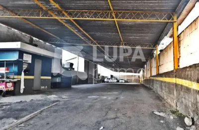 Estacionamento coberto  com 570m² para locação, tucuruvi, são paulo