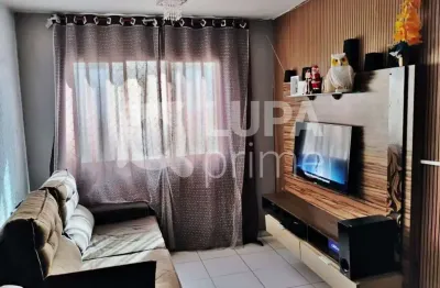 Apartamento com 2 quartos e 1 vaga para venda, belenzinho, são paulo
