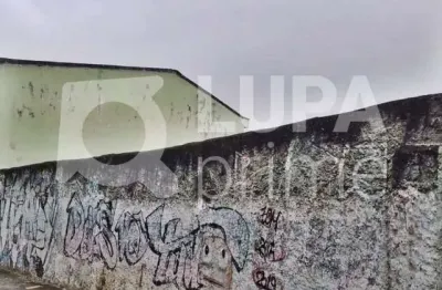 Casa com 3 quartos à venda na Rua Mere Amedea, 145, Vila Maria Alta, São Paulo