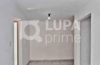 Apartamento com 3 quartos e 1 vaga de garagem à  venda em vila amália