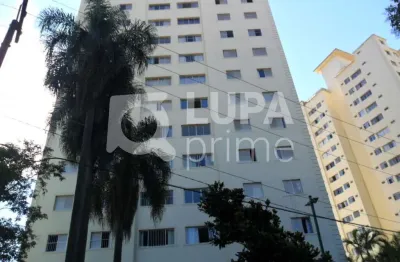 Apartamento á venda -jardim paraiso- 3 dormitórios , 1 suíte ,  1 sala,  3 banheiros,  1 vaga, 78 m²