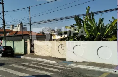 Àrea á venda, Vila Gustavo , 1.000 m² sendo   ( 20 x 50 ) ideal para construtor