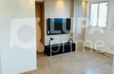 Apartamento de 43 metros de área construída à venda no piqueri!