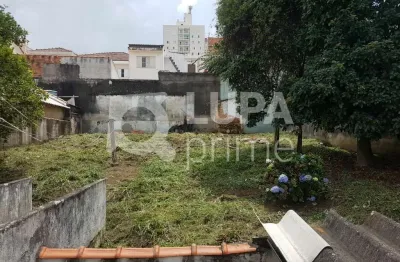 Terreno à venda na Rua Satuba, 40, Vila Paulicéia, São Paulo