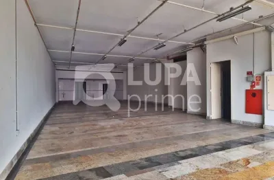 Galpão comercial com 800m² de área construída para locação na vila maria alta